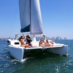 Navegación en catamarán por la bahía de San Diego, espaciosa y estable, navega con un gato divertido