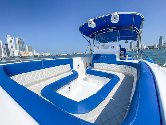 Location de bateau privé Donzi 33" à Cartagena de Indias, Bolivar