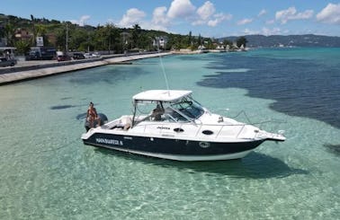 Wellcraft 29 Coastal for Amazing Boat Charters - Fishing, Cruising, and More!