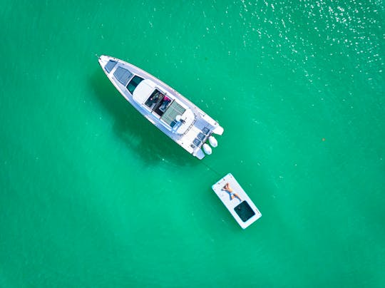Island Hop to Egmont Island and Passage Key...Dolphin Tour...Luxury Powerboat