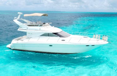 Sea Ray 43ft Fly Bridge Luxury Yacht for Charter in Cancun, Mexico