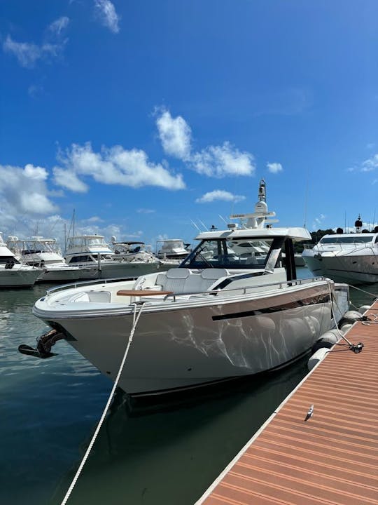 Excursão de 4 horas pela Ilha Palomino ou Ilha Icaco 