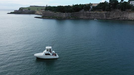 Explorez les vues majestueuses de la baie de San Juan, à Porto Rico, en bateau !