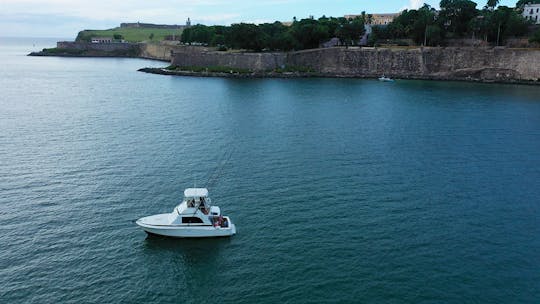 NOW OPEN! Explore the majestic views of San Juan Bay, Puerto Rico by boat!