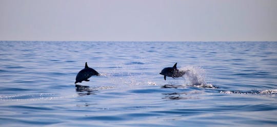 Taormina - Bays, Isola Bella, Azur Grotto  & Dolphins Tour