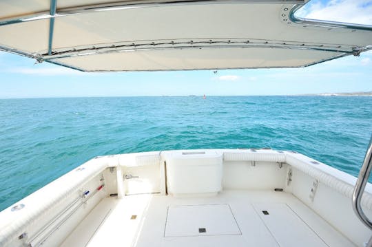 La mejor experiencia de pesca en Cabo San Lucas en nuestro Cabo 35 Flybridge Sport Fisher