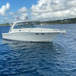 Visit Saona or Catalina island in our 37ft Sea Ray