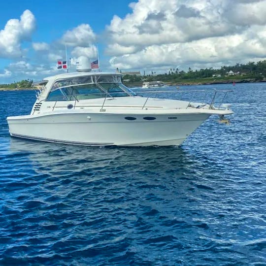 Visit Saona or Catalina island in our 37 feet Sea Ray
