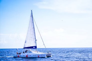 Bienvenue à bord du BlueRidge Voyager 500 : réalisez vos rêves de navigation !