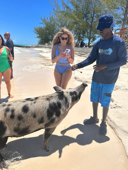 Nassau : cochons nageurs, plongée en apnée, visite d'île en île, excursion privée en bateau