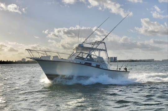 YATE DE PESCA DEPORTIVA BETRAM DE 35 PIES EN CANCÚN