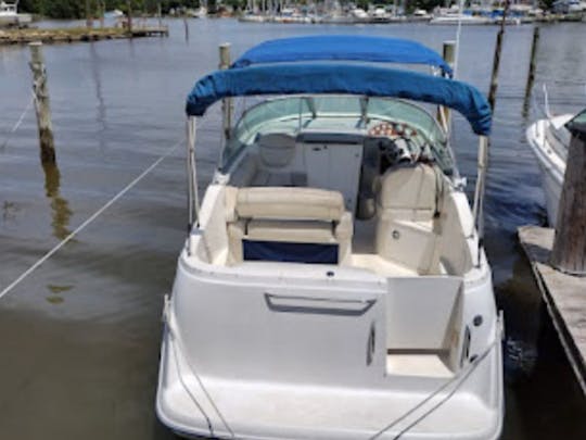 24ft Bayliner Cruiser | Ideal for 7 Guests