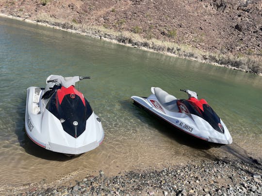 ヤマハウェーブランナー VX スポーツ 1100