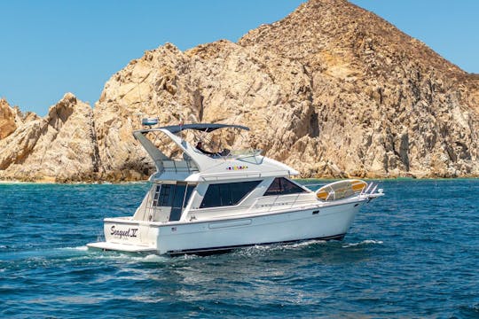 Bayliner 42ft Private Yacht 15Px