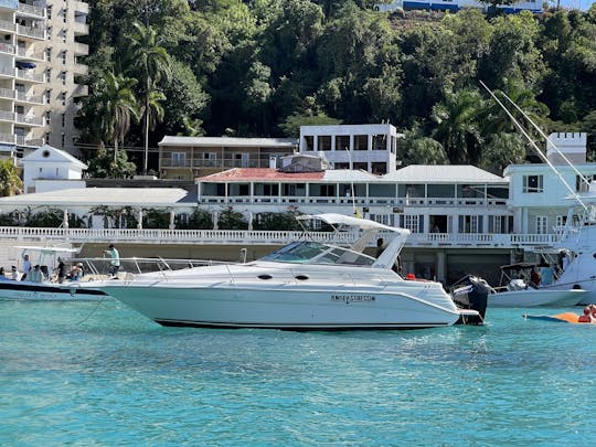 Enjoy cruising Montego Bay Coastline on a 30' SeaRay Yacht w/unlimited Rum Punch