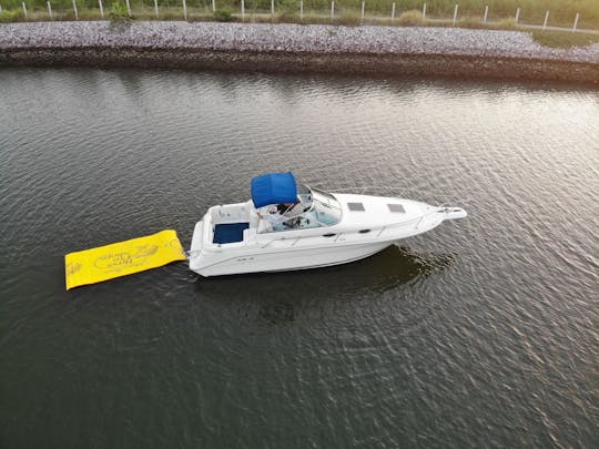 Yate Sea Ray de 27 pies para alquilar en Mazatlán