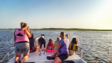 Dolphin watching, sunset cruise, eco-tour with Tideline Tours