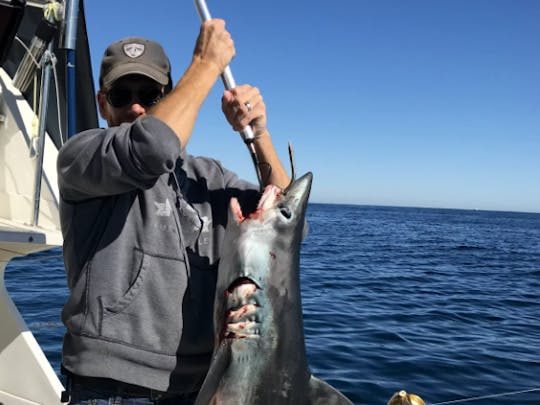 Pesca de tubarão em Newburyport, Massachusetts