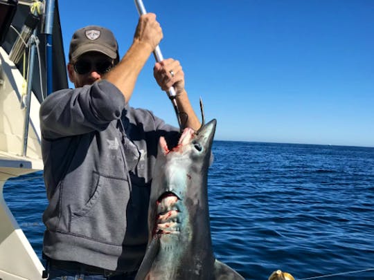 Shark Fishing in Newburyport, Massachusetts