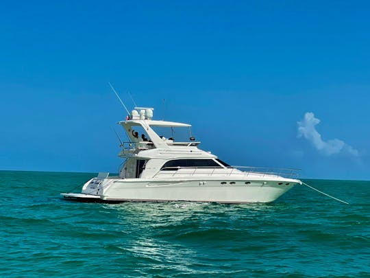 SEA CASTLE 50” luxury yacht 