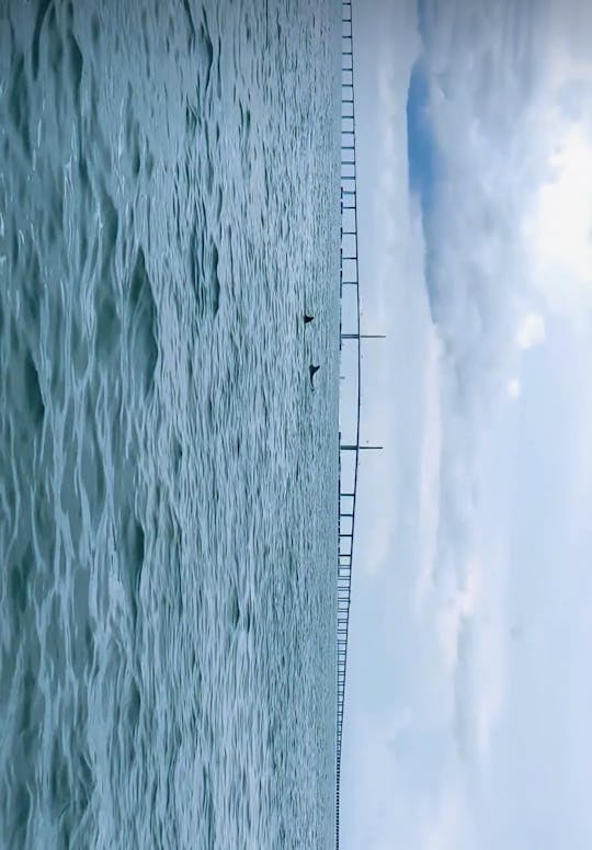 最高のアイランドツアー体験 🌊🏝️ フロリダ州セントピーターズバーグトップカンパニー