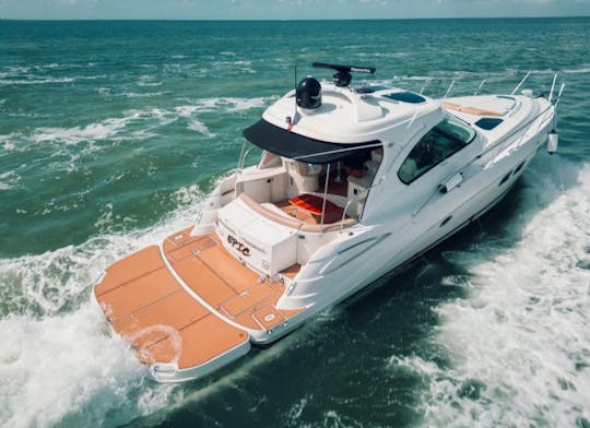 Louez ce magnifique flybridge Sea Ray Big Yacht de 60 pieds