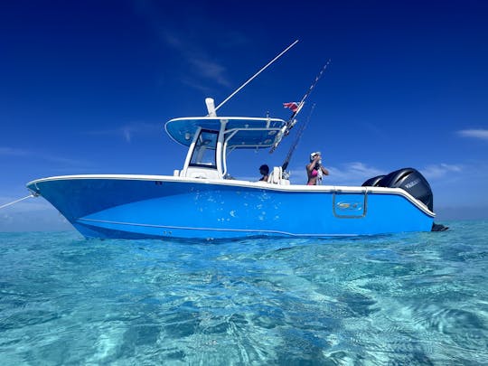 船長、燃料、氷、水が含まれています 💥☀️🏝️🛥️💥 超快適ボート