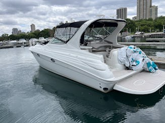 WEEKEND SPECIAL Sea Ray Sundancer 350 Boat Rental in Chicago, Illinois 
