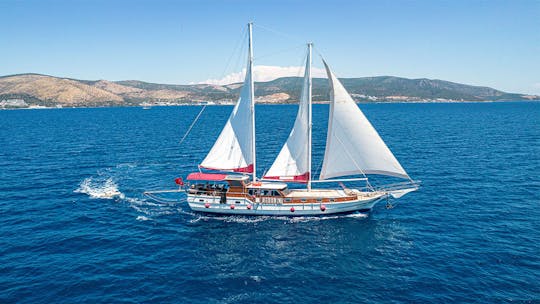 Visite privée personnalisée de 75 golets à Bodrum