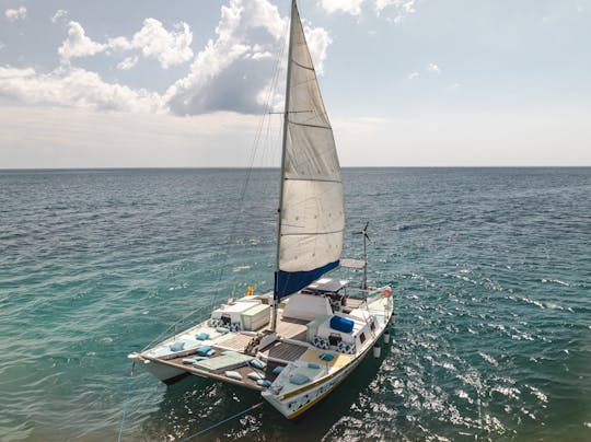 35ft Polynesian Catamaran / Pelagic One