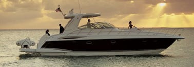 51' TOP FUN, Luxury BIG Yacht. Sunset-dolphin cruise, Parties and more!