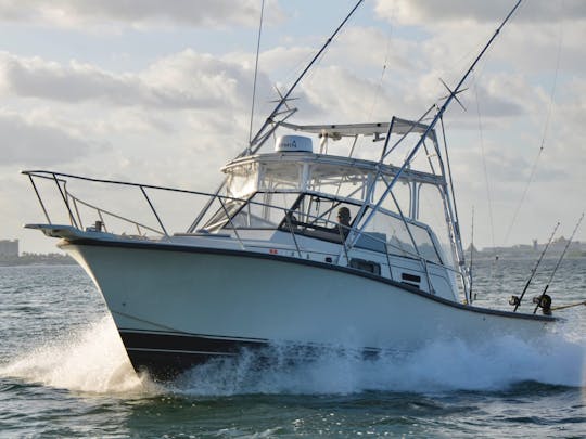 YACHT DE PÊCHE SPORTIVE BETRAM DE 35 PIEDS À CANCÚN