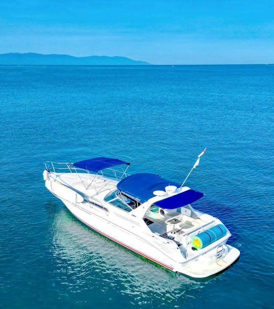 Sea Ray 400 Exclusive Yacht