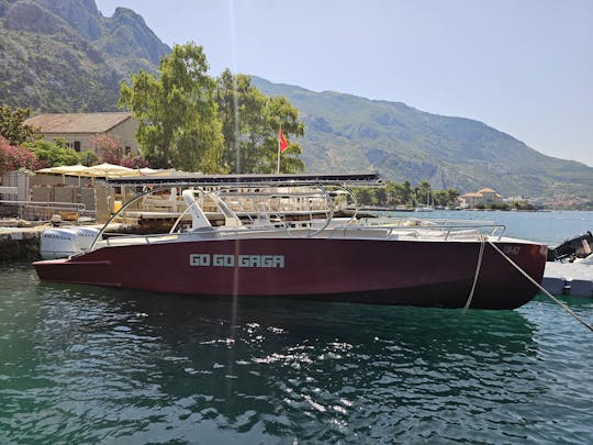 Location de hors-bord - jusqu'à 15 personnes (facturé par heure) avec Skipper