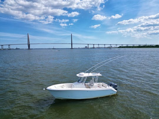 Explore the Lowcountry in Style with Our 28ft Edgewater Luxury Boat!