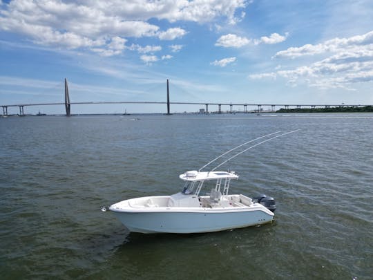 Explore the Lowcountry in Style with Our 28ft Edgewater Luxury Boat!