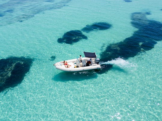 Croisière d'une journée à Favignana et Levanzo - Îles Egades 