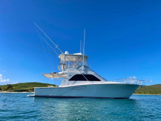 Cabo 38 Flybridge Yacht for Day Cruise with All-Inclusive Culinary Delights