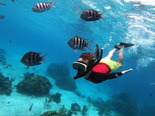 Alquiler privado personalizado, Stingray City, esnórquel en los arrecifes de coral, estrellas de mar de 34 pies