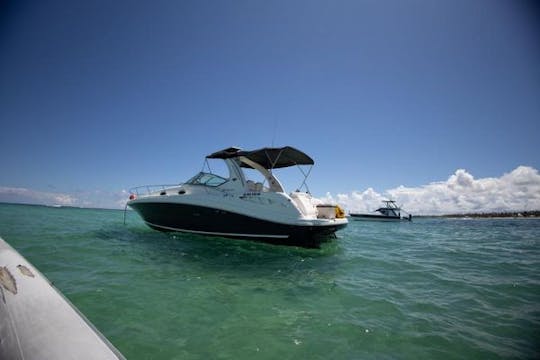 Enjoy a VIP Yacht Tour in Punta Cana