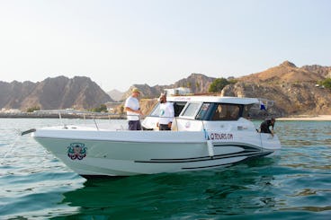 Observação de golfinhos no Gulf Craft Silvercraft 36CC!