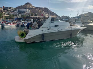 34ft Brown Sea Ray Sundancer Motor Yacht Rental in Cabo San Lucas