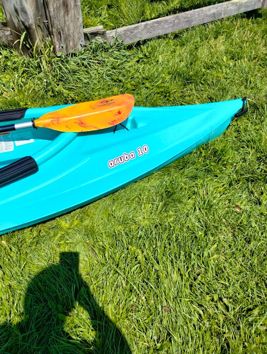Kayak Rental on Wabasis and Big Pine Island Lakes, Greenville/Belding 
