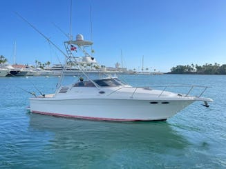 35' Sea Ray boat for rent