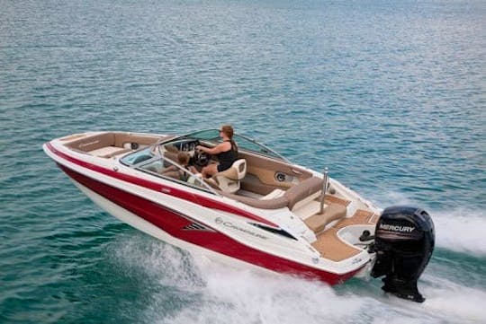 24' Cobalt Sport Cruising Boat Rental in Bellevue, Washington