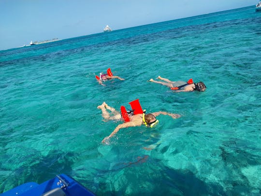 Private boat to explore Pigs Turtle Snorkeling and Beaching 