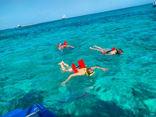Private boat to explore Pigs Turtle Snorkeling and Beaching 