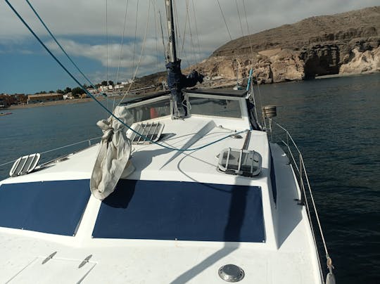 Catamarán Shiva Prout 31