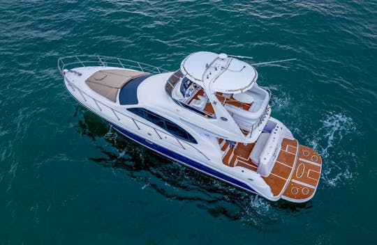 48' SEARAY Motor Yacht (FREE 1 JETSKI MON-THURS) TIP INCLUDED