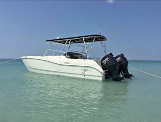 Catamaran spacieux à Miami : parfait pour les groupes, les fêtes et les couchers de soleil